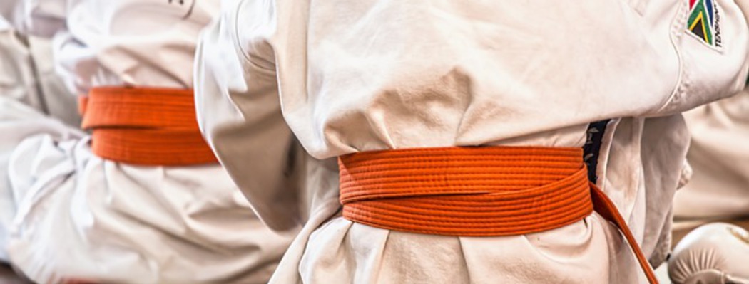 karate_1050x399_crop_478b24840a